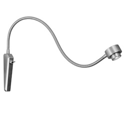 Night Owl - Click to Enlarge