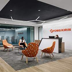 Nova Modular Downlight