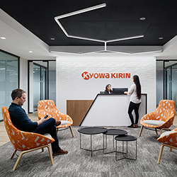 Nova Modular Downlight