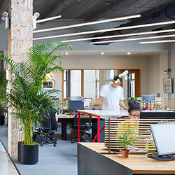 Cirrus Suspension T1