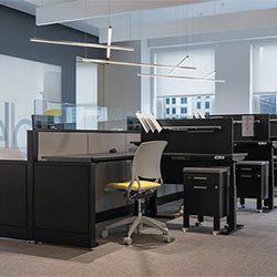 Cirrus Suspension D1