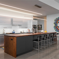 Cirrus Suspension D1 and Reveal Wall Wash