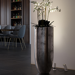 Big-Shorty Uplight/Spotlight