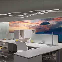 Zipp Wave Suspension Downlight