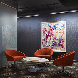 Cirrus Suspension D1