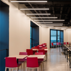 Cirrus Suspension T1