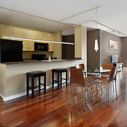 Cirrus Float R1 for Monorail