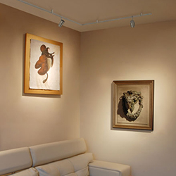 Monorail with Scope LED