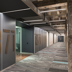 Cirrus Suspension D1