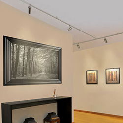 Monorail MTE Kit with Scope Heads