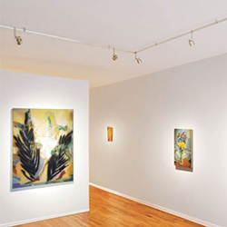 Monorail with Phi Pro Aim