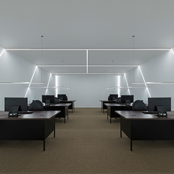 Cirrus Suspension D1 with TruLine