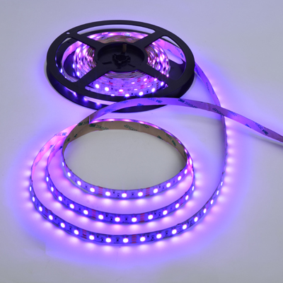 Lightingsoft Lightingsoft