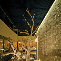 Stratus Linear Wall Grazer