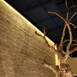 Stratus Linear Wall Grazer