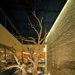 Stratus Linear Wall Grazer