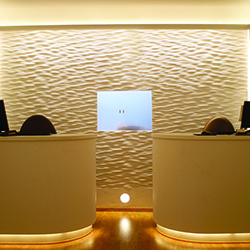 Stratus Linear Wall Grazer