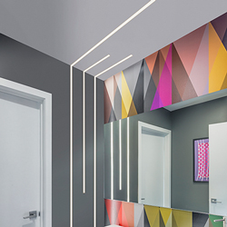 TruLine .5A<br>Photo by Everett Engbers Photography